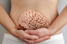 Belly & The Brain